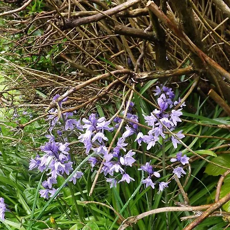 Апартаменты Village Way *