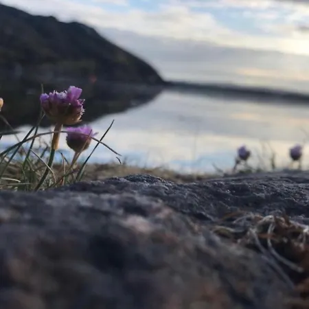 Village Way Appartamento