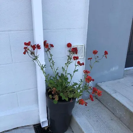 Apartment Village Way