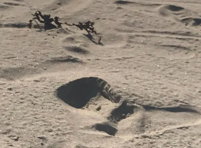 Village Way Apartmán *