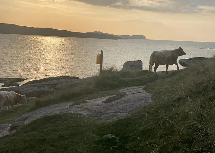 Apartmán Village Way