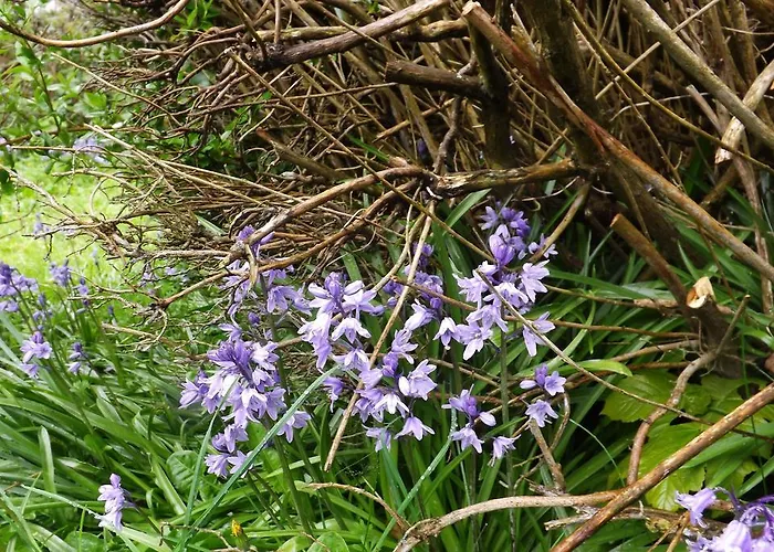 Apartmán Village Way *