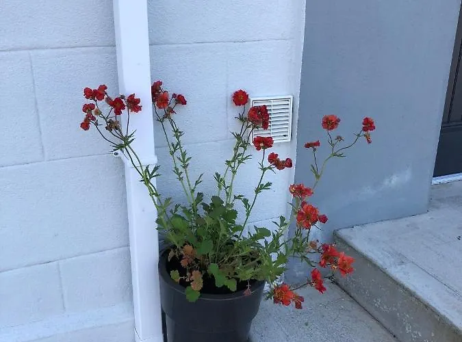 아파트 Village Way